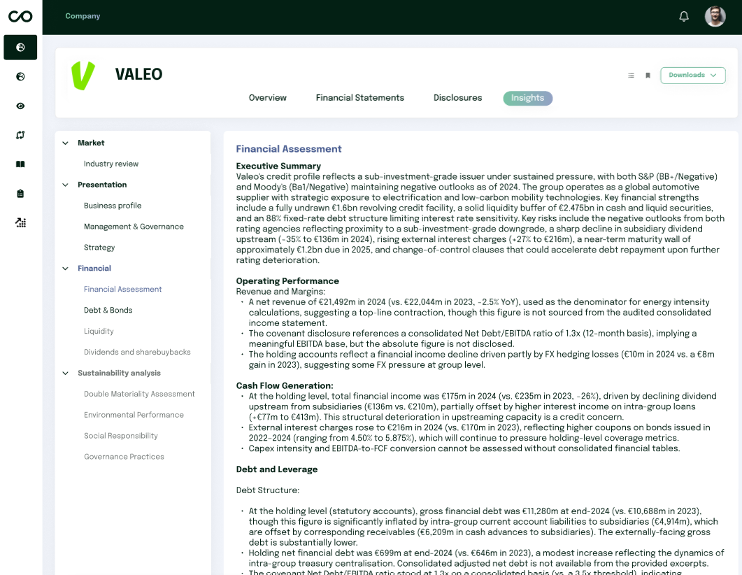 Company page – Insights tab Financial Assessment content